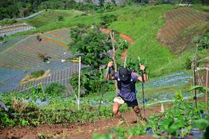 BIB: 
                            <button type="button" onclick="openModal(13379711)" class="btn btn-primary btn-sm float-right btn-popup" data-toggle="modal" data-target=".modal-high-quality">
                        <i class="fas fa-shopping-cart"></i> Add to Cart
                    </button>
                                            <button type="button" onclick="isThisMe(13379711, true)" class="btn btn-success btn-sm float-right btn-popup btn-isme hidden" data-toggle="tooltip" data-placement="bottom" title="นี่คือรูปของคุณใช่ไหม คลิกที่นี่เพื่อเอาเข้าอัลบั้ม">
                        <i class="fas fa-plus"></i> Add to album
                    </button>
                    <button type="button" onclick="isThisMe(13379711, false)" class="btn btn-warning btn-sm float-right btn-popup btn-isnotme hidden">
                        <i class="fas fa-ban"></i> Remove from album
                    </button>